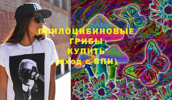 стаф Абдулино