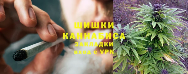 стаф Абдулино