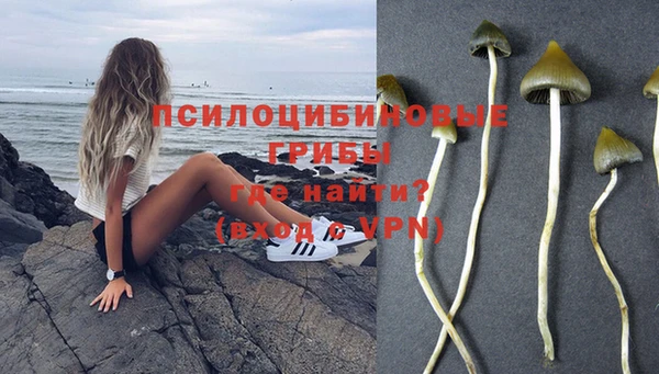 гашик Абаза