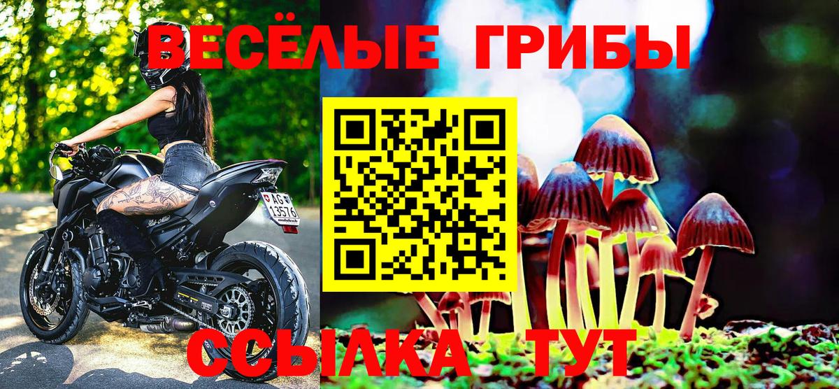 Галлюциногенные грибы мицелий Новотроицк